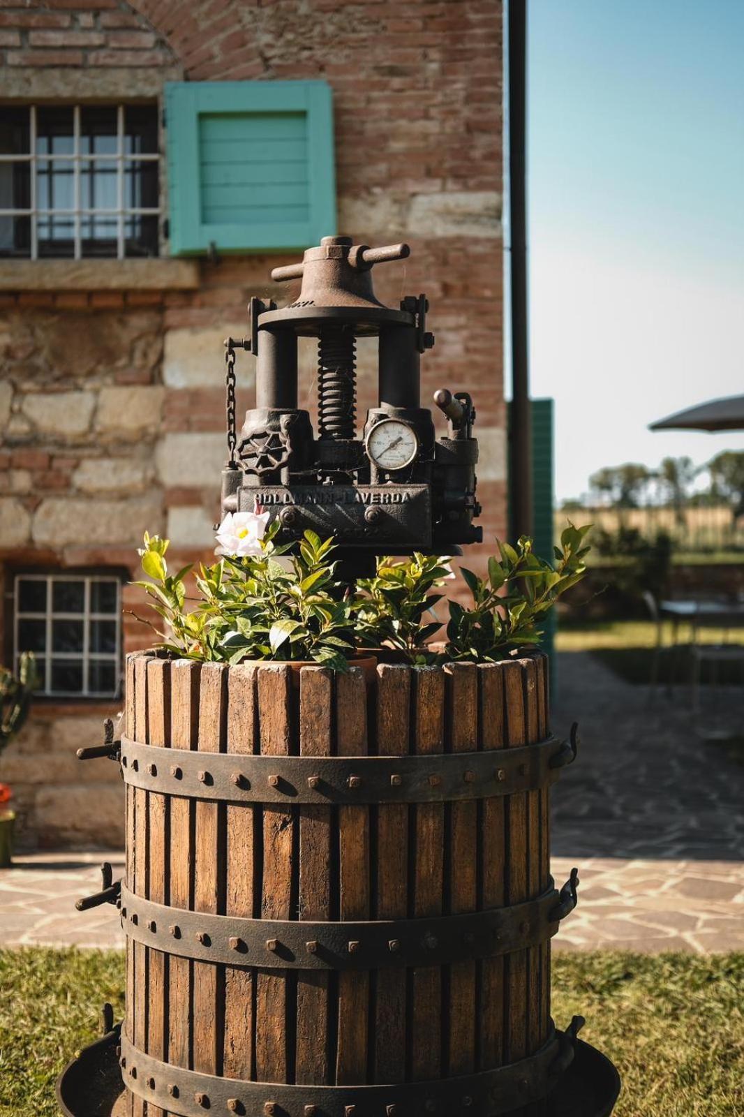Podere Gli Olmi Cecina  Exterior foto