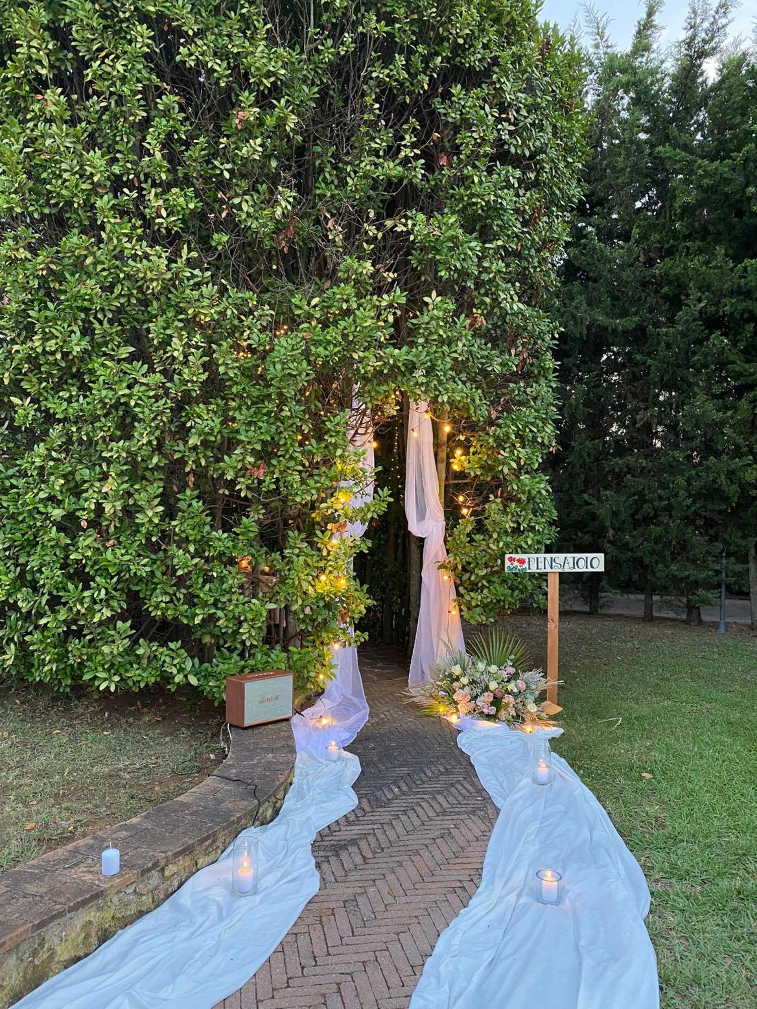 Podere Gli Olmi Cecina  Exterior foto